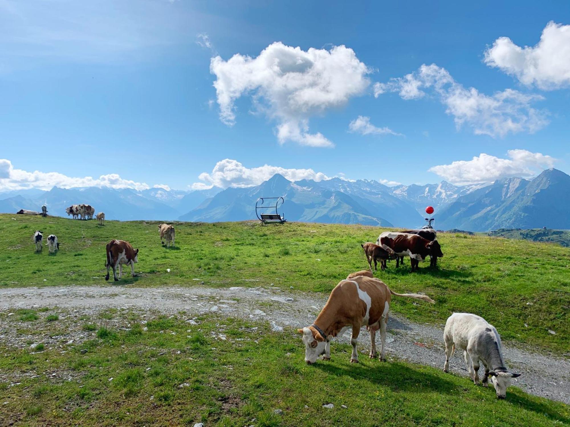 Schneekarhuette Mayrhofen Exterior foto
